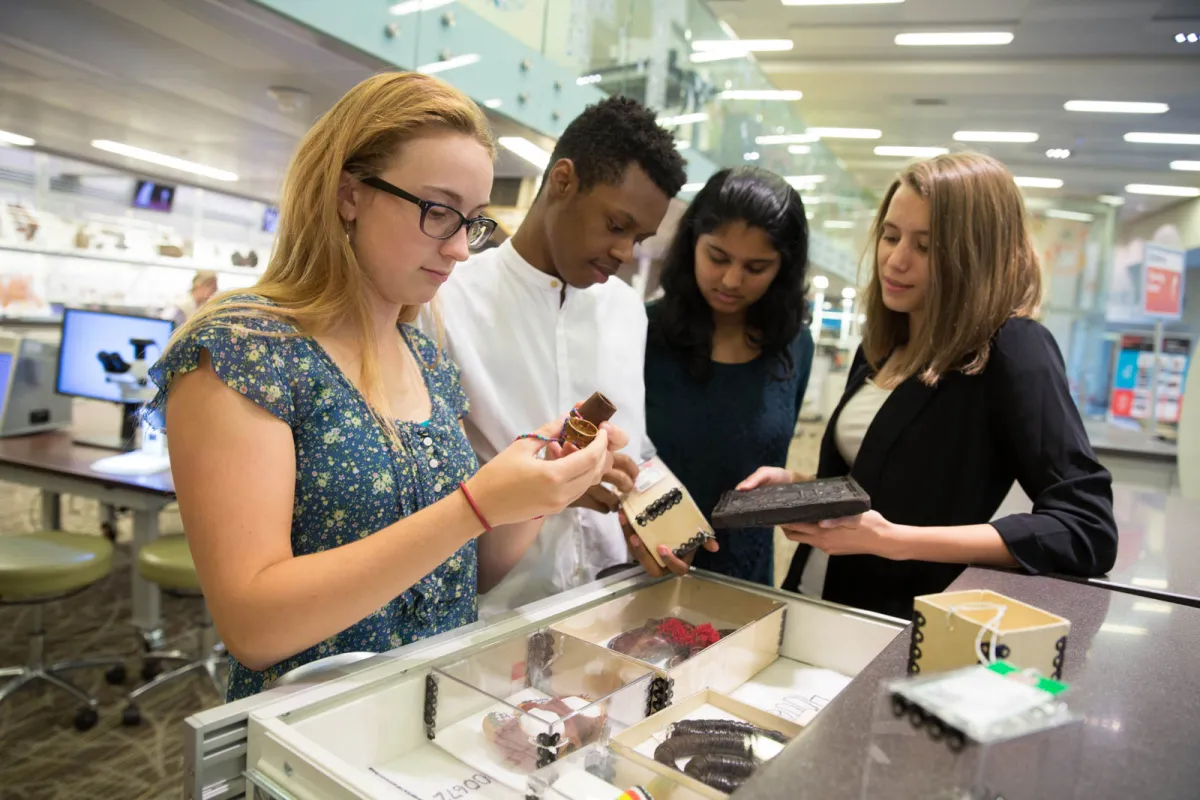 Students examine Museum collection objects as part of a Q?rius school program. Photo by Jennifer Renteria, Smithsonian.