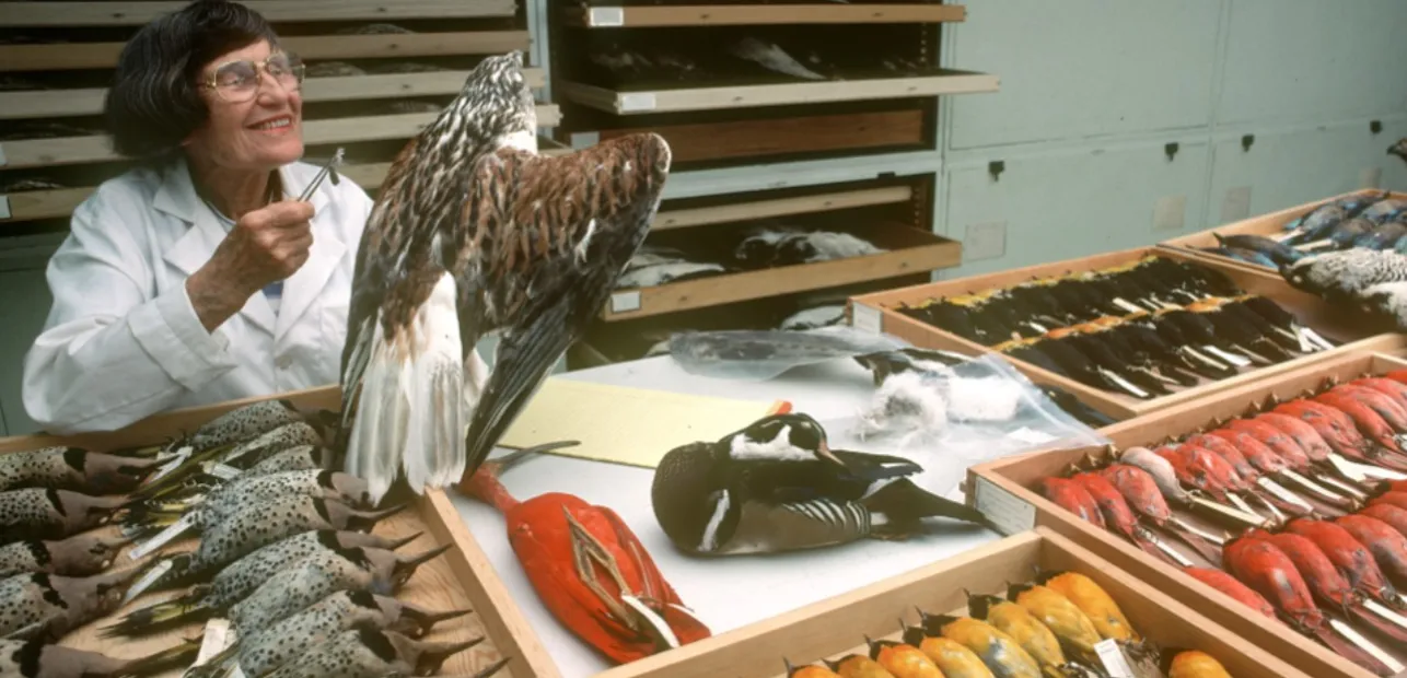 Behind the Science with Forensic Ornithologist Carla Dove and the Feather Identification Lab Past and Present
