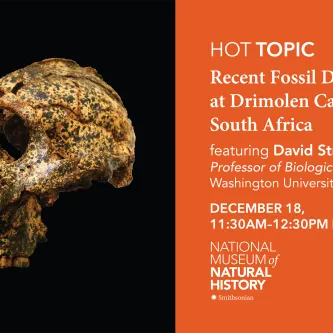Hominin skull with upper jaw and teeth. It is mottled black and yellow-brown in color. To the right is a text panel, reading HOT Topic, Recent Fossil Discoveries at Drimolen Cave, South Africa, featuring David Strait.