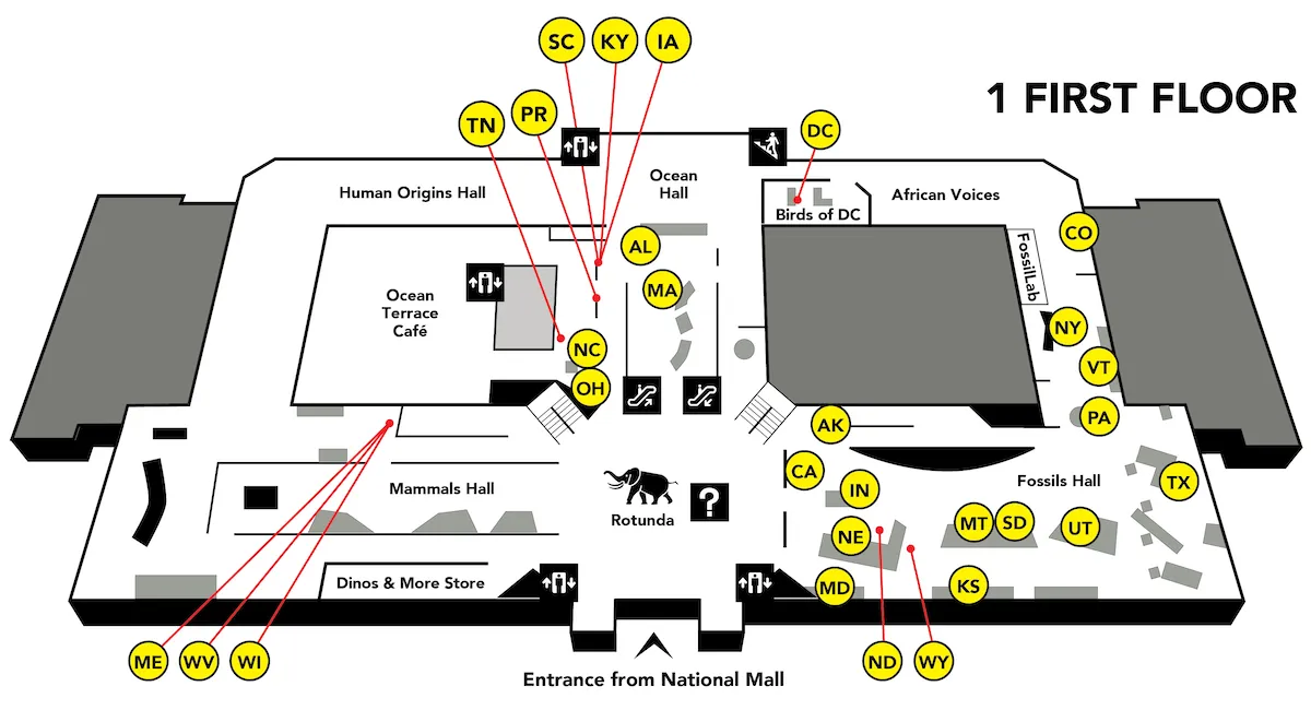 Map of the first floor of the museum with yellow circles with state abbreviations on them.