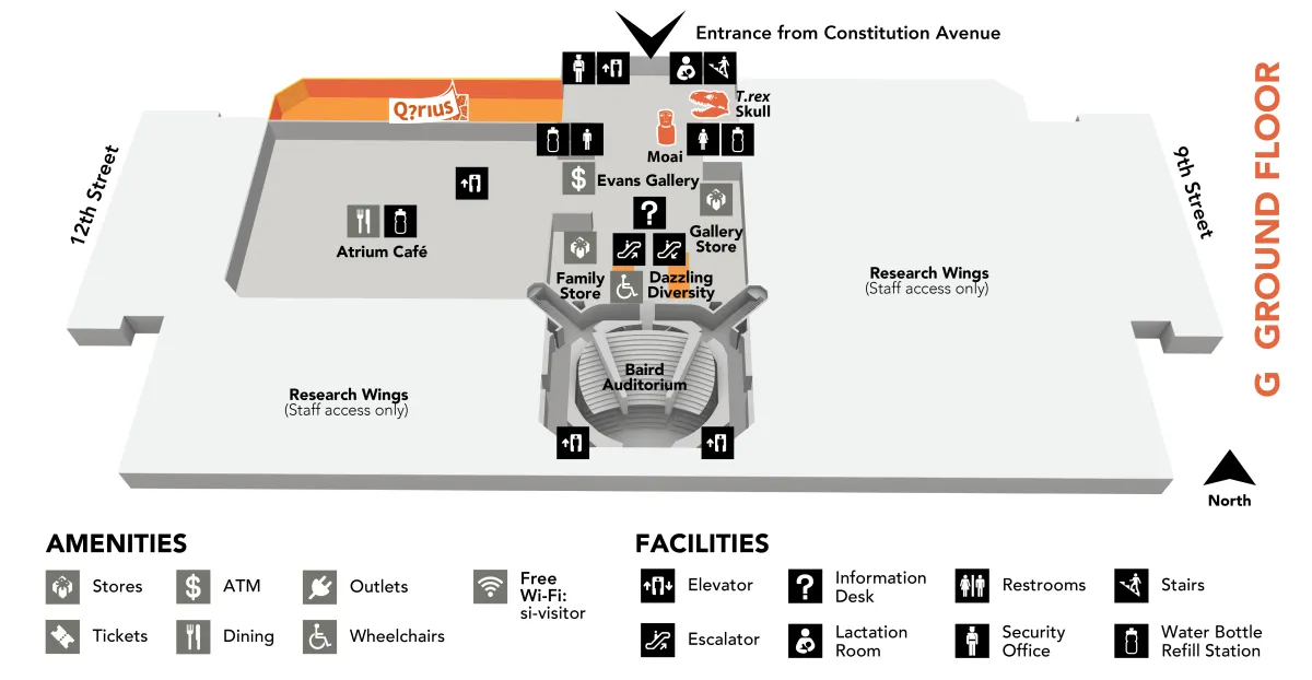 Map of the museum's ground floor, which has these exhibits: Berns Quartz, Dazzling Diversity, Moai, Q?rius Science Education Center, and T. rex Skull. Under the map is a list of amenities and facilities in the museum. Get more details in the text below.