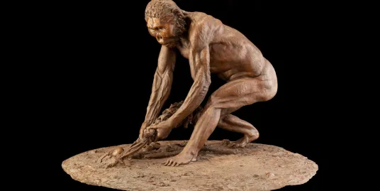 How Do Paleoanthropologists Identify Our Evolutionary Relatives?