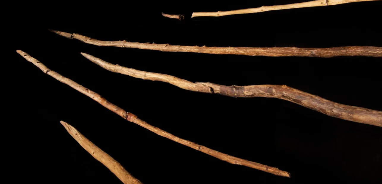 The Wood Age: How Were the Earliest Hunting Weapons Made and Used?