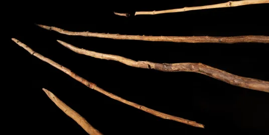 The Wood Age: How Were the Earliest Hunting Weapons Made and Used?