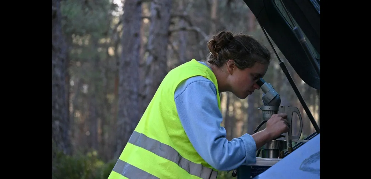 Watch Them Grow: Understanding our Forests for a Greener Future
