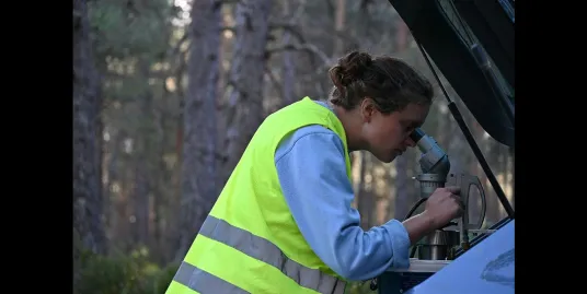 Watch Them Grow: Understanding our Forests for a Greener Future