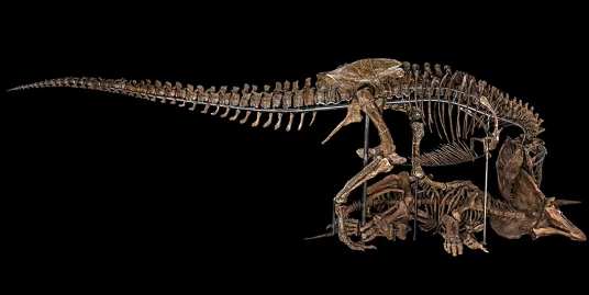 Play Date: Week of the Young Child Celebration!