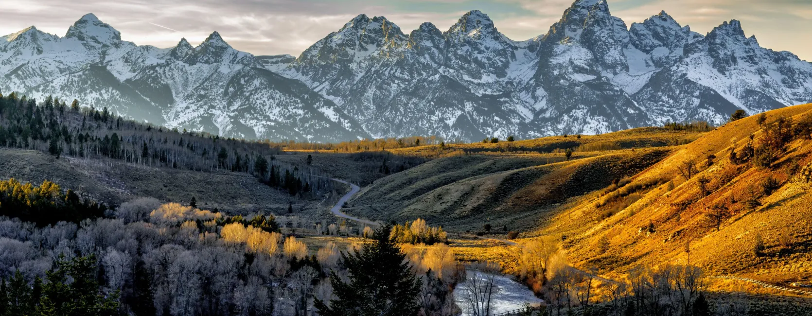 Dawn on a forest valley with snow covered mountains in the background.
