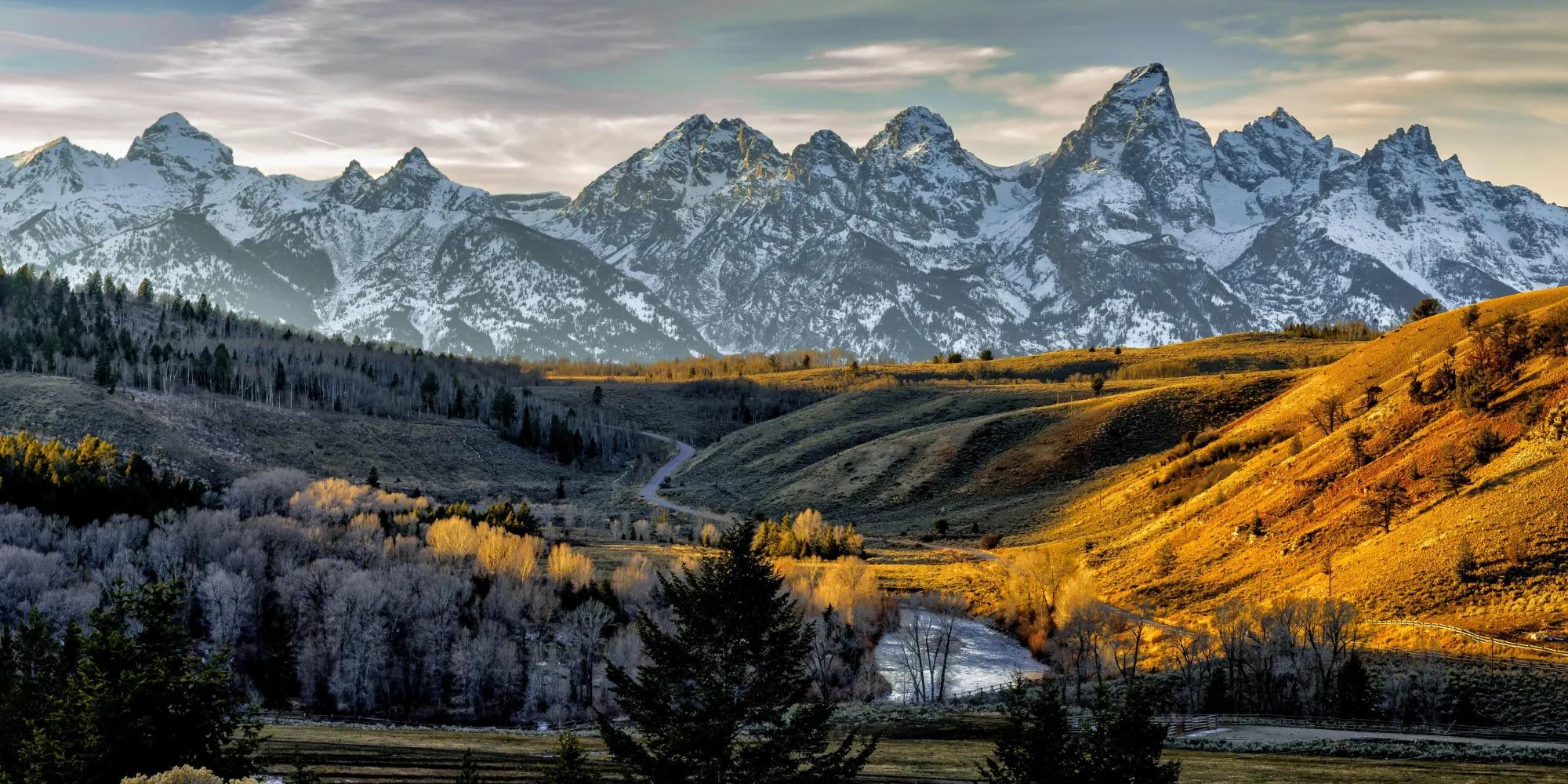 Dawn on a forest valley with snow covered mountains in the background.