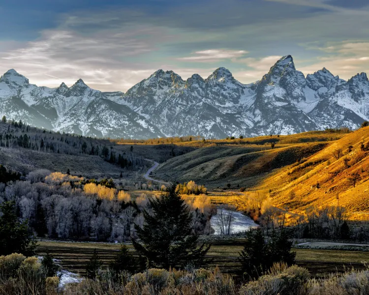 Dawn on a forest valley with snow covered mountains in the background.