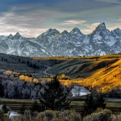 Dawn on a forest valley with snow covered mountains in the background.