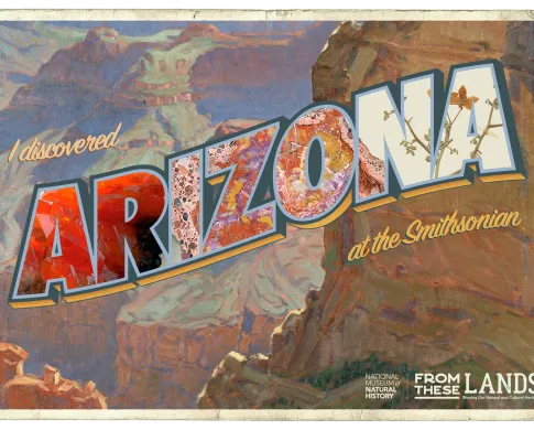 Photo of an Arizona postcard 