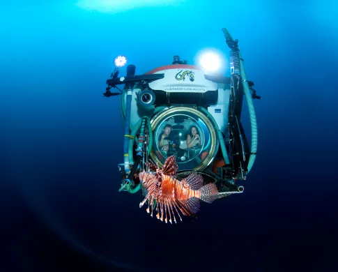 a submarine with people in it views a red lionfish