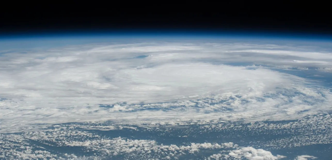 Play Date at NMNH: Planet Party!