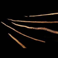 The Wood Age: How Were the Earliest Hunting Weapons Made and Used?