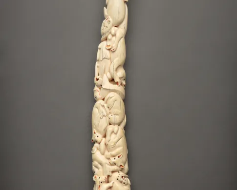 Photo of a carved walrus tusk specimen