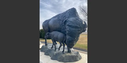 Opening Day and Celebration of "Bison: Standing Strong"