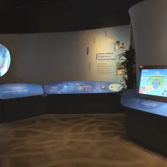 gallery image of genome with blue panel reader raises and gray wall