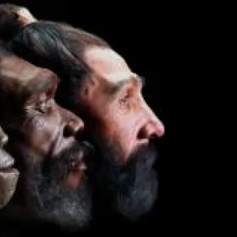 Three heads showing the process of evolution 