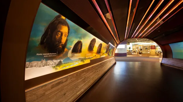 entry way to the exhibit with evolution of face on wall