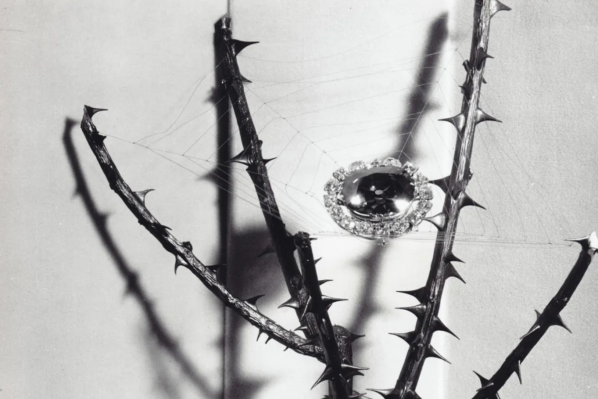 The Hope Diamond mounted in a spiderweb in a rose bush 
