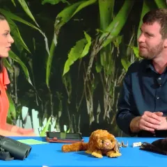Maggy Benson and Dr. Kristofer Helgan are seated at a table with several furry specimens in front of them.