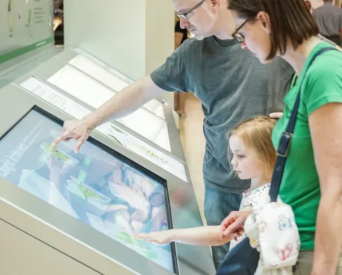 Two adults and a child touching a large touchscreen monitor
