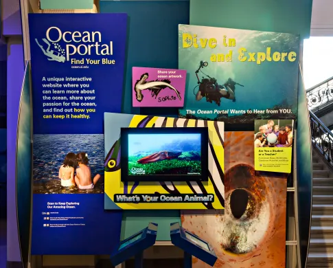 a photo of exhibit graphics and two face-to-face interactive screens
