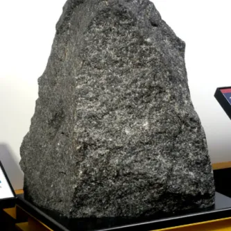 Large piece of gray rock with white speckles, sitting on a pedestal in an exhibit display.