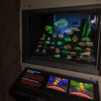 Dozens of rocks of different sizes and shapes glowing fluorescent green, orange, and red in a dark exhibit case.