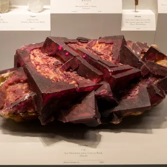 Large, purple crystals of fluorite on a yellow rock base in an exhibit case. The crystals are nine large cubes positioned at different angles to each other.