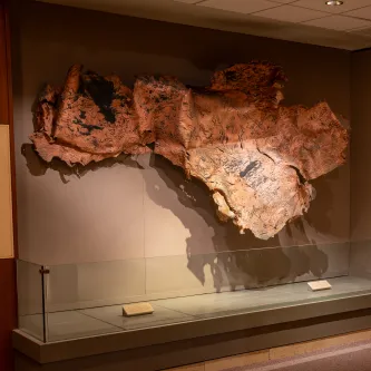 Large, wavy sheet of copper mounted on a wall. The copper has black splotches and striations on it.