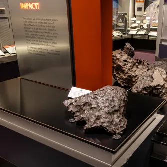 Large, dark gray triangular shaped rock with many dimples in it. The rock is on a museum display platform with a label behind it titled Oakley.