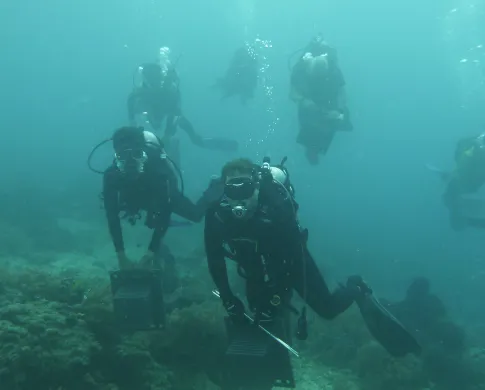 Five scuba divers swim just above an ocean floor carrying various scientific instruments