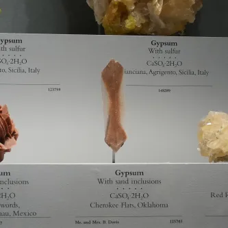 Thin piece of clear gypsum, with brown grains in it that form an hourglass shape. The gypsum is on a shelf with two other gypsum specimens in an exhibit case. Below it is a label reading, Gypsum with sand inclusions, CA SO4 H2O, Cherokee Flats, Oklahoma.