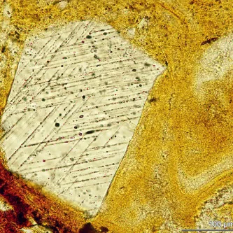 A pentagonal grain of quartz with parallel line markings on it.