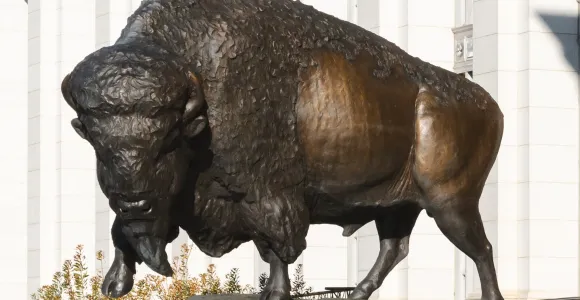Photo of a bronze bison bull on the steps of the museum.