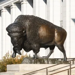 Photo of a bronze bison bull on the steps of the museum.