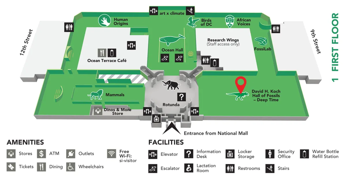 A map of the Museum's first floor that shows how to get to the T rex in the Deep Time Hall